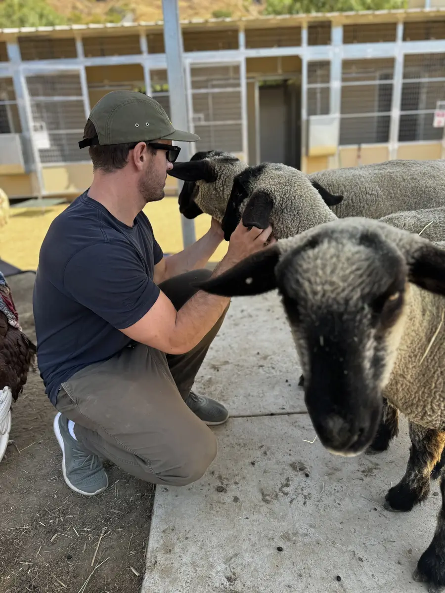 LA Elite team member volunteering at animal shelter