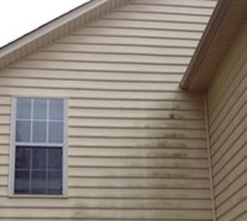 House Appearance Ruined | Stained Siding