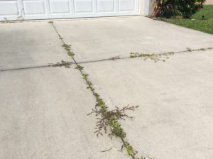 Ruined Driveway | Needed Pressure Washing Services 